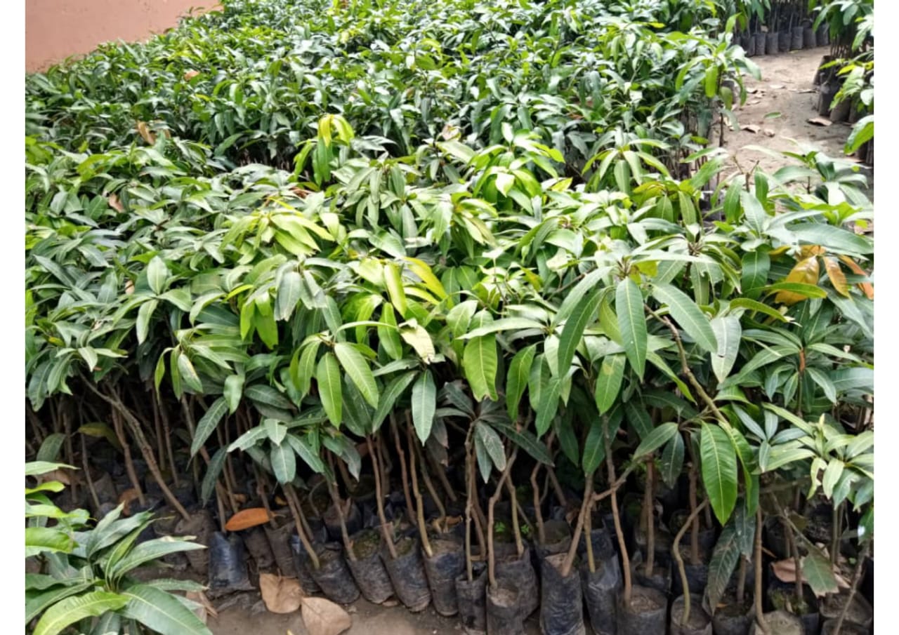 Empowering Local Communities